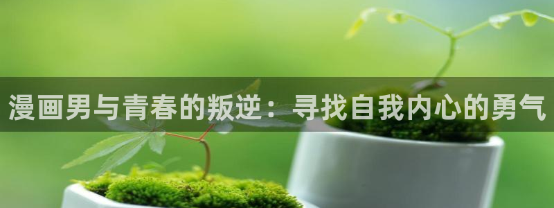 高等灵魂奇漫屋：漫画男与青春的叛逆：寻找自我内心的勇气
