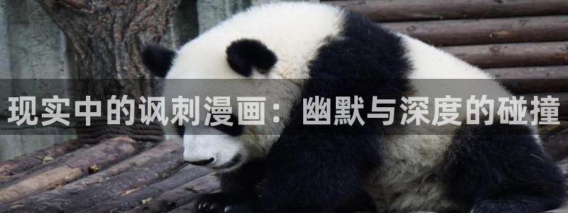 高等灵魂奇漫屋：现实中的讽刺漫画：幽默与深度的碰撞