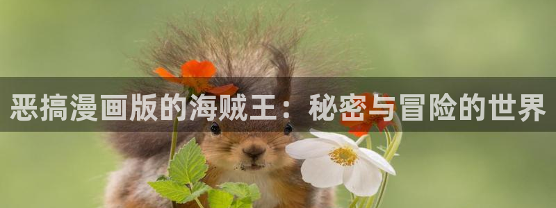 奇漫屋漫画网：恶搞漫画版的海贼王：秘密与冒险的世界