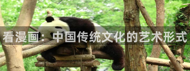 我独自升级漫画奇漫屋漫画：看漫画：中国传统文化的艺术形式
